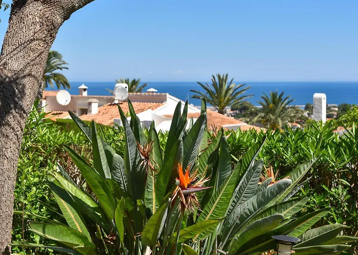 فيلة Lau دينايا